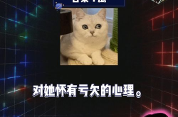 娱乐八卦吃瓜阵地,揭秘明星幕后故事，吃瓜阵地带你一探究竟