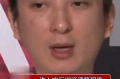 娱乐吃瓜熊猫视频,趣味视频背后的故事
