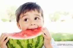娱乐吃瓜小男孩小说,吃瓜小男孩的逆袭之路