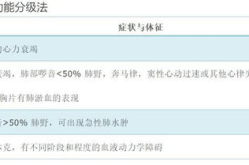心功能分级,揭秘心脏健康等级与生活调适