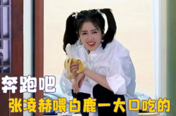 娱乐吃瓜直播白鹿,娱乐直播中的焦点，演技与生活的多面展现