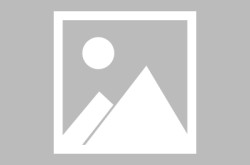 桂林论坛桂林新闻报料2025半程马拉松激情开跑 万余名跑者畅享山水之约