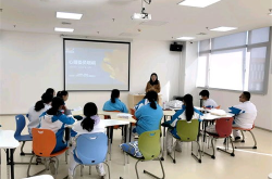 培训课,2025年度各类培训课程概览